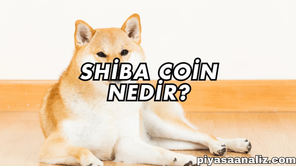 Shiba Inu (SHIB)