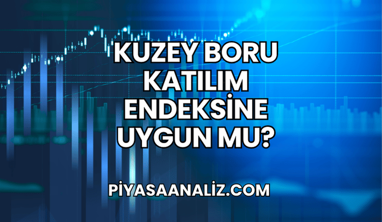 Kuzey Boru Katılım Endeksine Uygun mu?