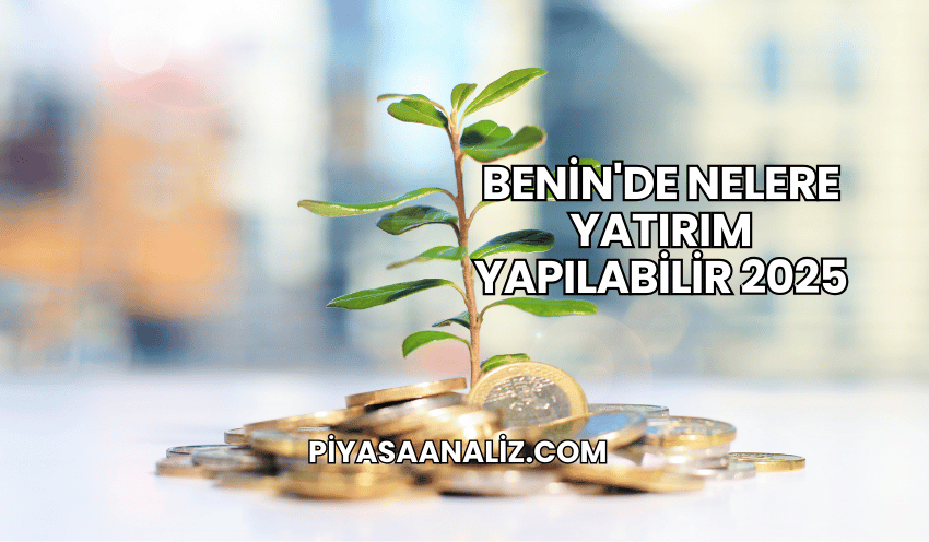 Benin'de Nelere Yatırım Yapılabilir 2025