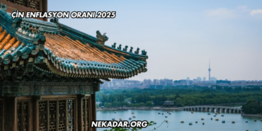 Çin Enflasyon Oranı 2025