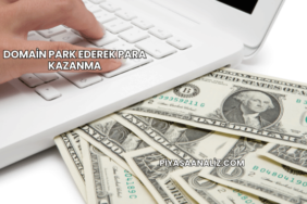 Domain Park Ederek Para Kazanma