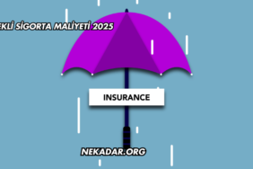 Emekli Sigorta Maliyeti 2025