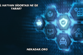 Evcil Hayvan Sigortası Ne İşe Yarar?