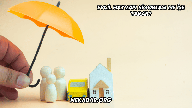 Evcil Hayvan Sigortası Ne İşe Yarar?