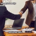 Evim Güvende Sigortası Ne İşe Yarar?