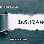 IMM Sigortası Ne İşe Yarar?