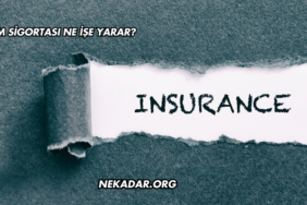 IMM Sigortası Ne İşe Yarar?