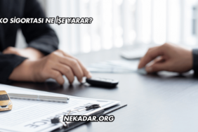 Kasko Sigortası Ne İşe Yarar?