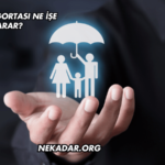 Konut Sigortası Ne İşe Yarar?