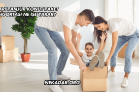 Sarı Panjur Konut Paket Sigortası Ne İşe Yarar?