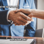 Sigorta Girişi Ne İşe Yarar?