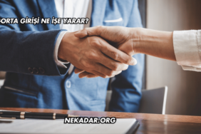 Sigorta Girişi Ne İşe Yarar?