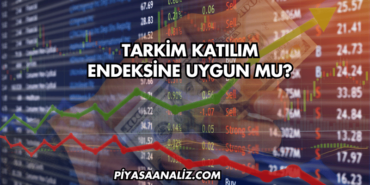 TARKİM Katılım Endeksine Uygun mu?