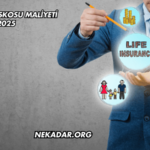 Telefon Kaskosu Maliyeti 2025