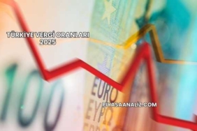 Türkiye Vergi Oranları 2025