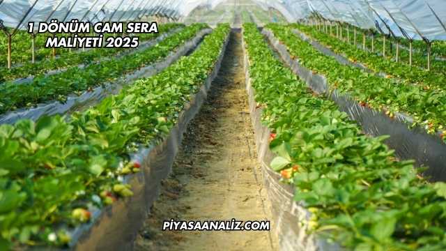 1 Dönüm Cam Sera Maliyeti 2025