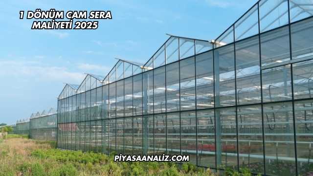 1 Dönüm Cam Sera Maliyeti 2025