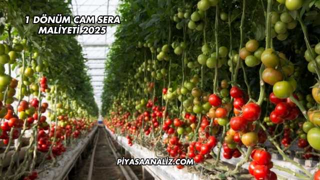 1 Dönüm Cam Sera Maliyeti 2025