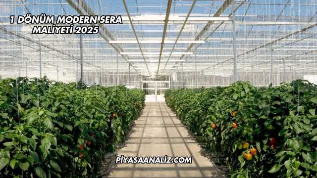 1 Dönüm Modern Sera Maliyeti 2025