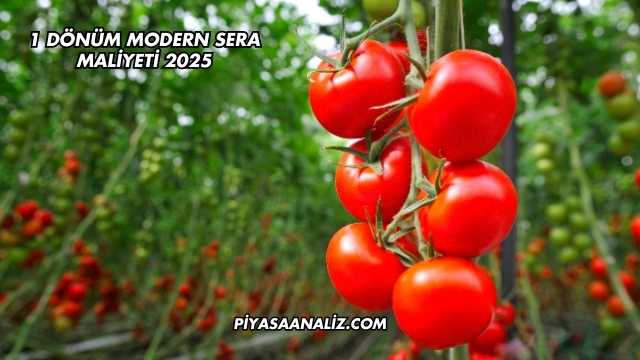 1 Dönüm Modern Sera Maliyeti 2025