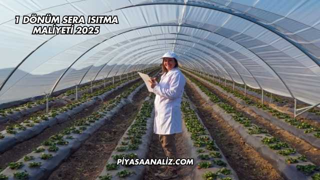 1 Dönüm Sera Isıtma Maliyeti 2025