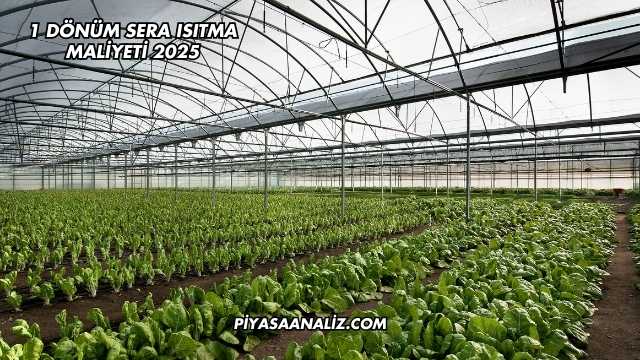 1 Dönüm Sera Isıtma Maliyeti 2025