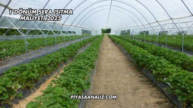 1 Dönüm Sera Isıtma Maliyeti 2025