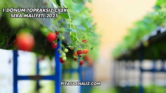 1 Dönüm Topraksız Çilek Sera Maliyeti 2025