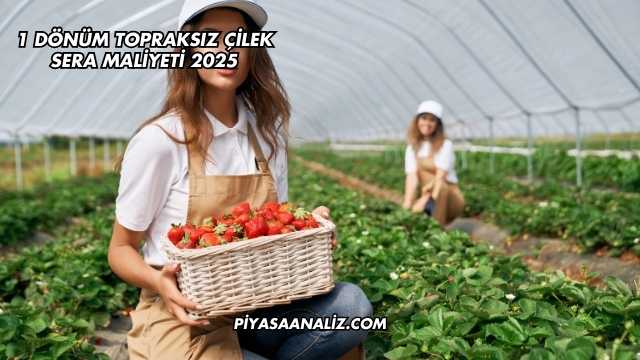 1 Dönüm Topraksız Çilek Sera Maliyeti 2025