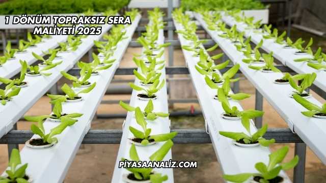 1 Dönüm Topraksız Sera Maliyeti 2025