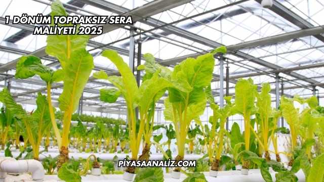 1 Dönüm Topraksız Sera Maliyeti 2025
