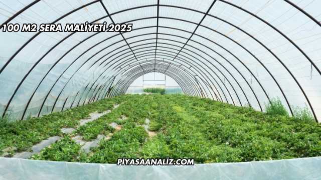 100 M2 Sera Maliyeti 2025