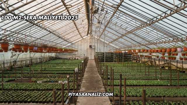 100 M2 Sera Maliyeti 2025