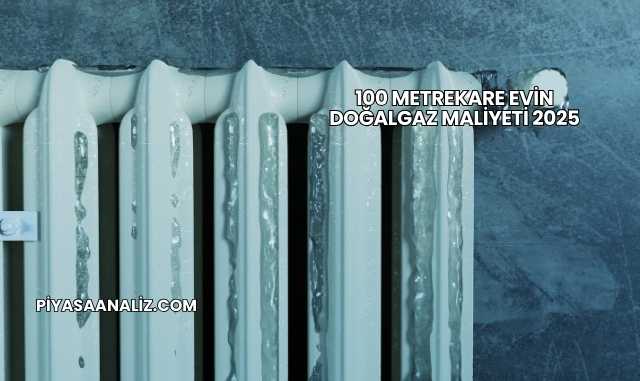 100 Metrekare Evin Doğalgaz Maliyeti 2025