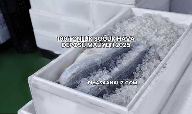 100 Tonluk Soğuk Hava Deposu Maliyeti 2025