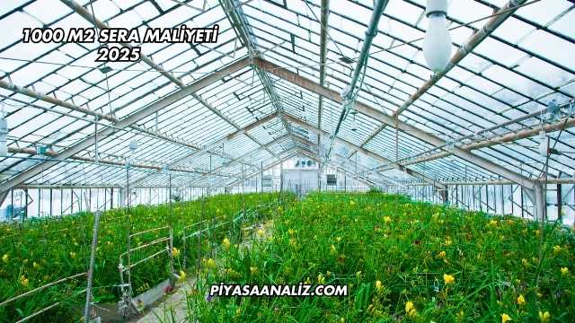1000 m2 Sera Maliyeti 2025