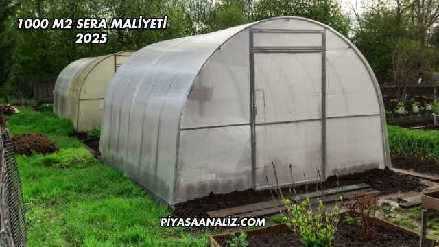 1000 m2 Sera Maliyeti 2025