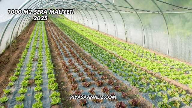 1000 m2 Sera Maliyeti 2025