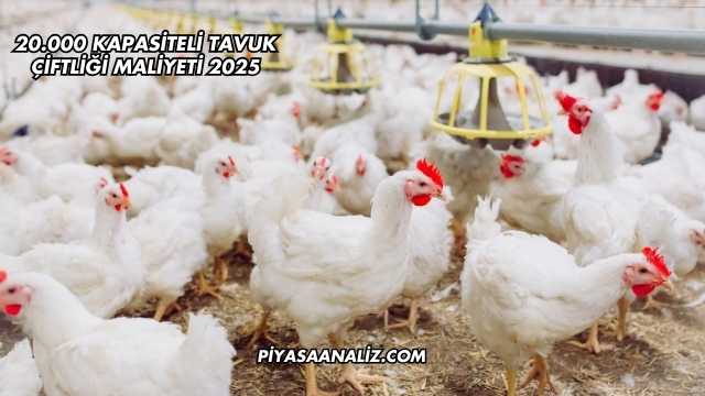 20.000 Kapasiteli Tavuk Çiftliği Maliyeti 2025