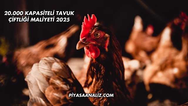20.000 Kapasiteli Tavuk Çiftliği Maliyeti 2025
