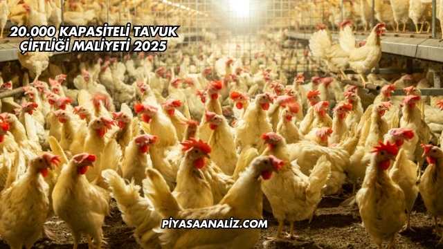 20.000 Kapasiteli Tavuk Çiftliği Maliyeti 2025