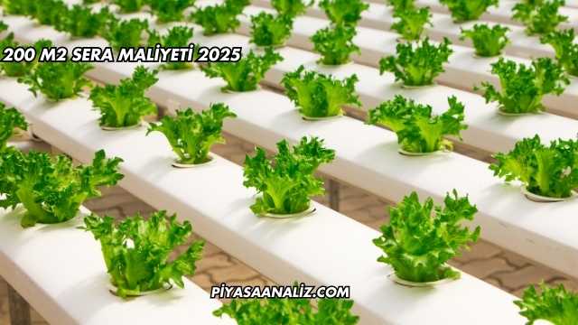 200 m2 Sera Maliyeti 2025