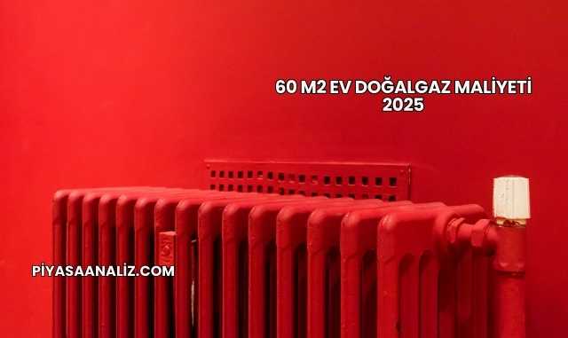 60 m2 Ev Doğalgaz Maliyeti 2025