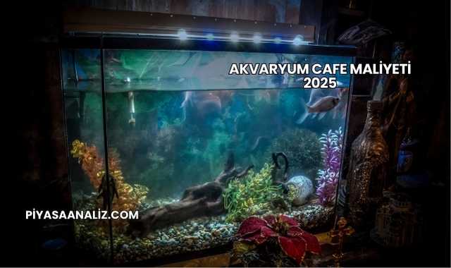 Akvaryum Cafe Maliyeti 2025
