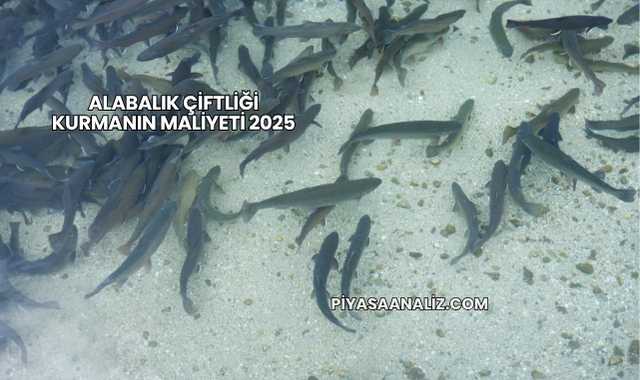 Alabalık Çiftliği Kurmanın Maliyeti 2025