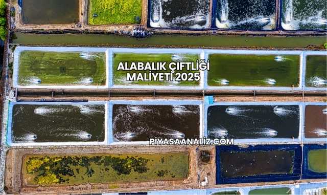 Alabalık Çiftliği Maliyeti 2025