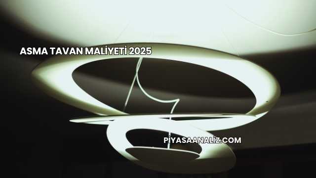 Asma Tavan Maliyeti 2025