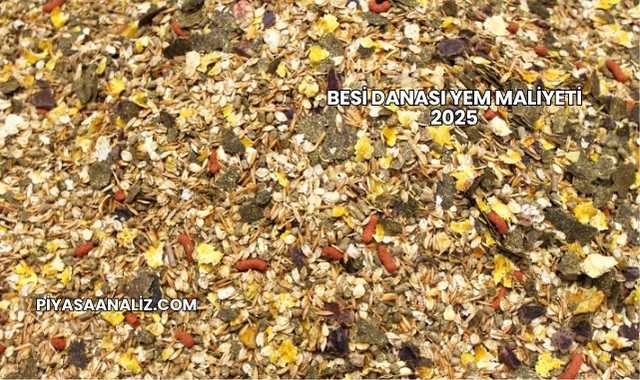 Besi Danası Yem Maliyeti 2025