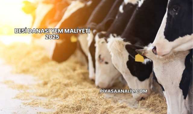 Besi Danası Yem Maliyeti 2025