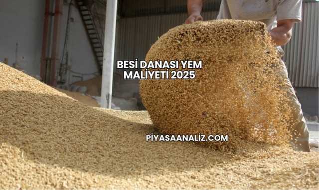 Besi Danası Yem Maliyeti 2025